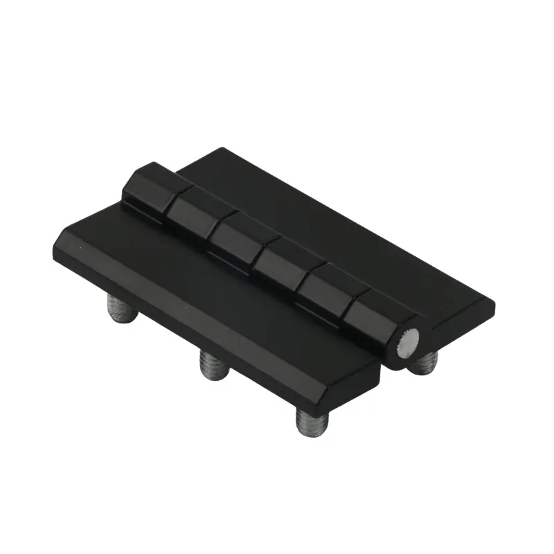 Електричні петлі